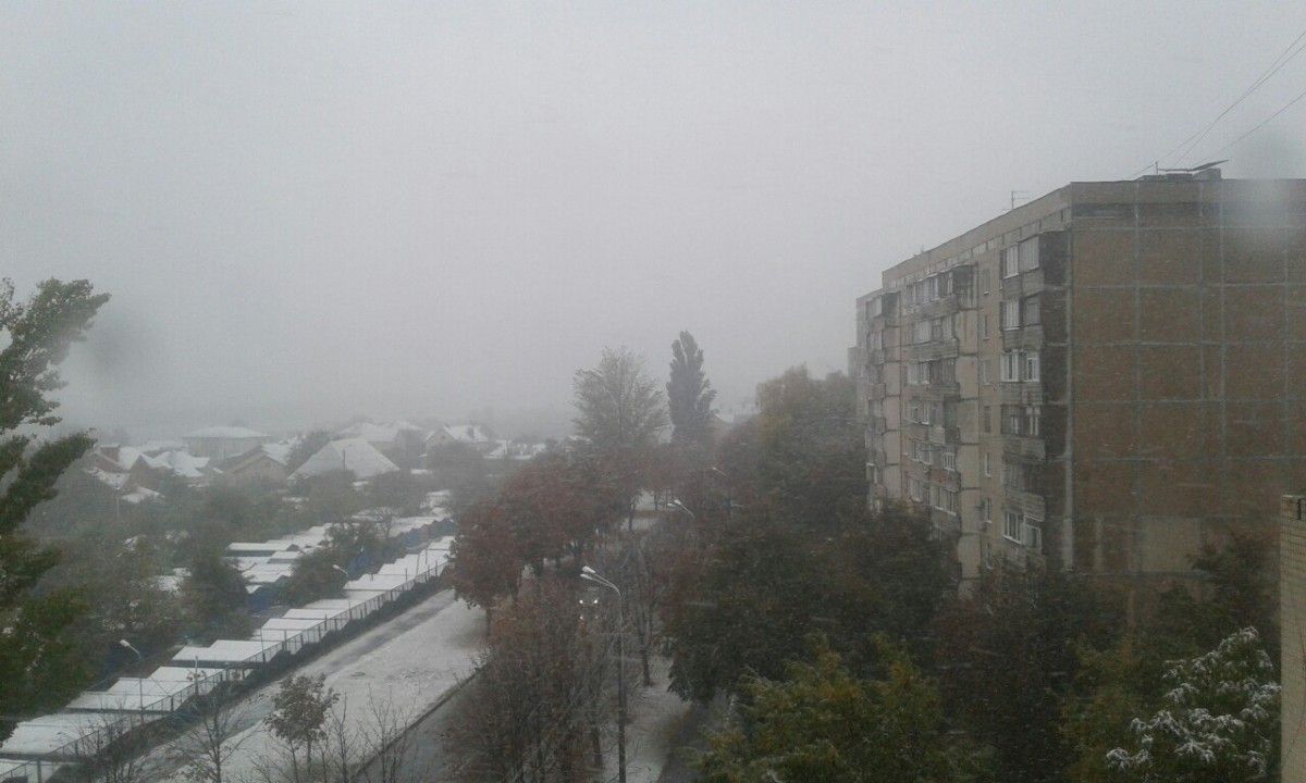vk.com / Дарина Горобець vk.com / Дарина Горобець