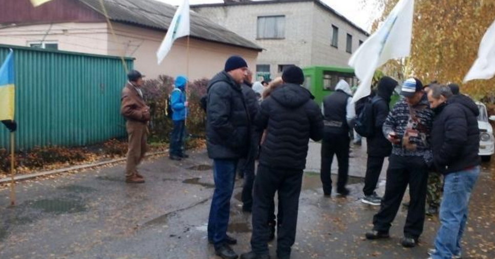 Под колонией около 20 человек. Фото: Ю.Ворона Под колонией около 20 человек. Фото: Ю.Ворона