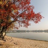 В Украине сегодня будет солнечно, на западе до +23° (карта)