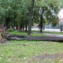 Bad weather leaves 205 towns and villages in Ukraine without power