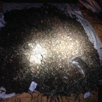 Police seize over one tonne of amber in Volyn region