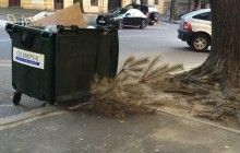 Одессит сдался и выкинул новогоднюю елку через 9 месяцев