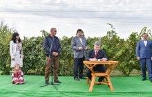 Порошенко упростил бизнес для мелких виноделов: отменил лицензию на торговлю за 500 тысяч