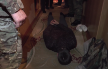На Волині затримали підозрюваного, що втік з-під конвою з гранатою та взяв правоохоронців у заручники (відео)