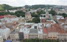 Экологи обратились в полицию и прокуратуру из-за массовой вырубки деревьев во Львове
