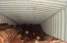 Замість "деревинного мораторію" потрібна національна програма розвитку лісового господарства - австрійський експерт