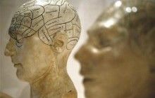 Ученые обнаружили новые гены, которые связаны с развитием шизофрении