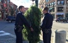 В США арестовали человека-дерево (видео)