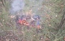 Активісти підпільного руху спалили прапор "ДНР" в центрі Донецька – ЗМІ (відео)