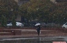 У Житомирі випав перший сніг (фото, відео)
