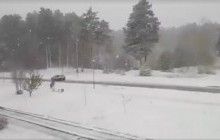 Житомирщина потерпає через мокрий сніг (відео)