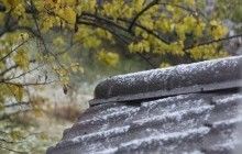 У Києві випав перший сніг (фото)