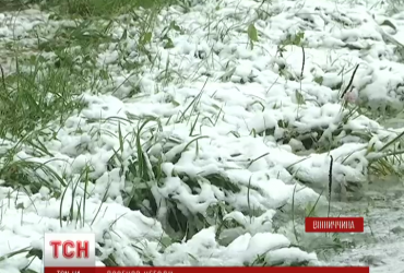 Снег, дожди и шквальный ветер: Украину накрыл мощный циклон