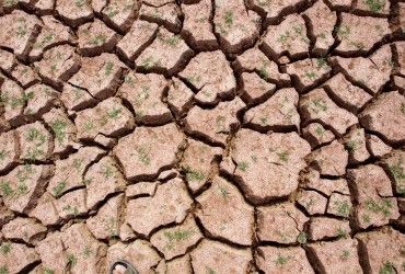 У Каліфорнії почалася посуха: оголошено надзвичайний стан