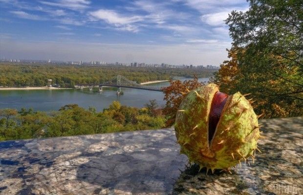 Афиша на осень 2019: лечимся от хандры на концертах, в кино и не только