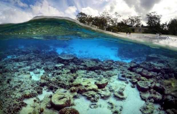Названы 50 популярных туристических локаций мира, находящихся под угрозой исчезновения