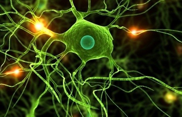 24 травня 2020 - яке сьогодні свято, прикмети і іменинники, що сьогодні не можна робити