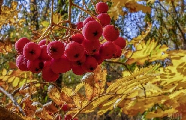 Вихідні у жовтні: коли та скільки відпочиватимуть українці