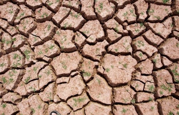 17 червня 2020 - яке сьогодні свято, прикмети і іменинники, що сьогодні не можна робити