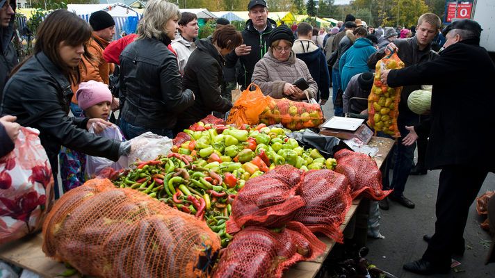 Продуктові ярмарки відбудуться в 5 ти районах / slavdelo.dn.ua Продуктові ярмарки відбудуться в 5 ти районах / slavdelo.dn.ua