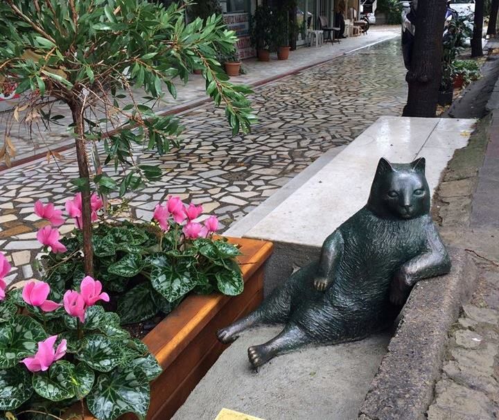 Памятник коту в Стамбуле / facebook.com/tombilikedi Памятник коту в Стамбуле / facebook.com/tombilikedi