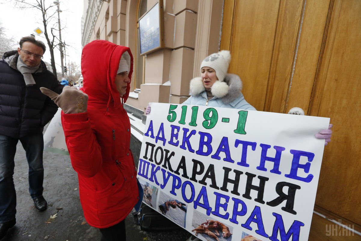 Учасники акції вимагають прийняти законопроект №5119-1 / УНІАН Учасники акції вимагають прийняти законопроект №5119-1 / УНІАН