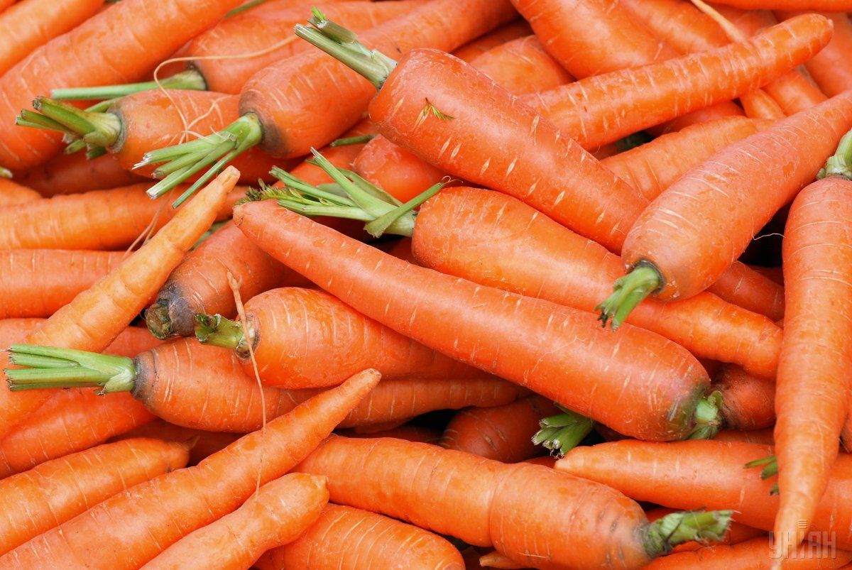 Морква нині у гурті на 48% дешевше, ніж у січні минулого року / фото УНІАН