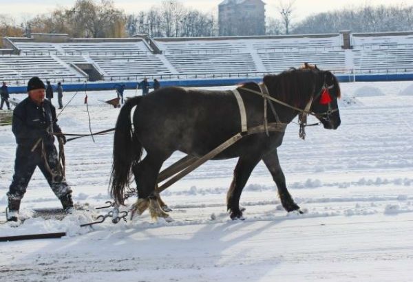 Стадион Стадион