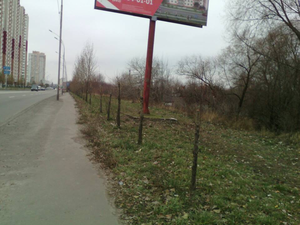 На озере Горячка расположен золоотвал ТЭЦ-4, и тополя являются защитой от золовой пыли / Фото facebook.com/blagodepkmda На озере Горячка расположен золоотвал ТЭЦ-4, и тополя являются защитой от золовой пыли / Фото facebook.com/blagodepkmda