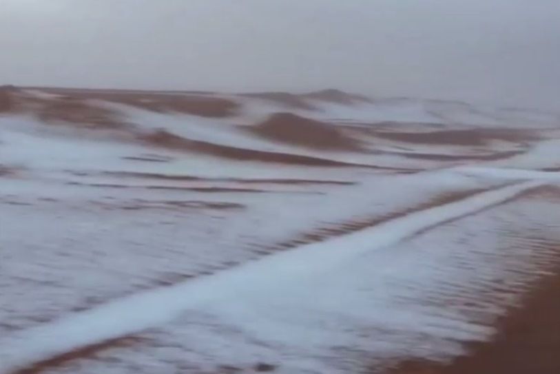 скриншот видео скриншот видео