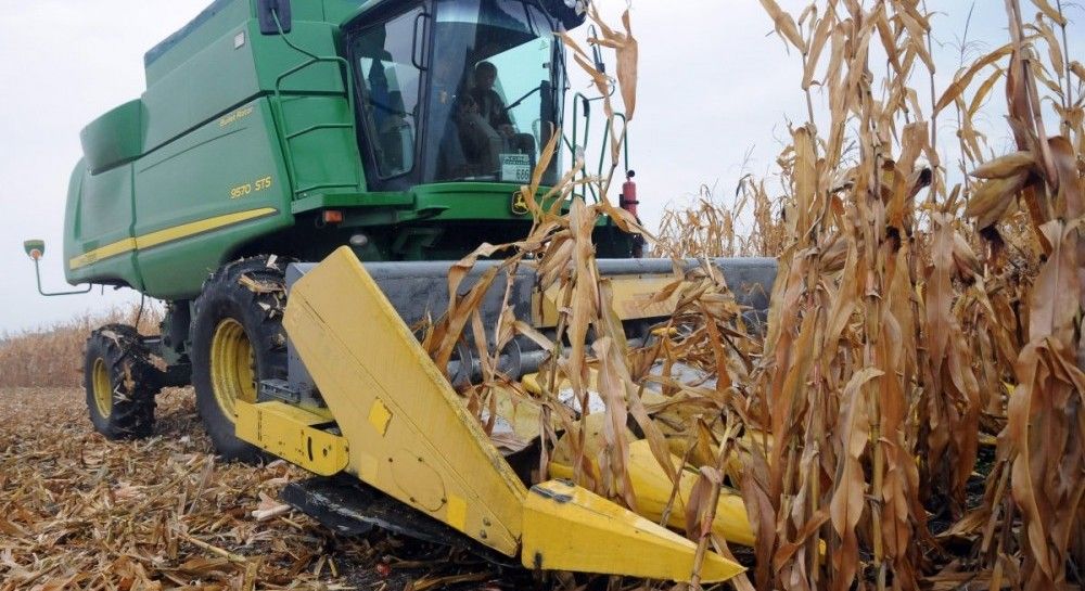 Ukraine boosting corn starch production and exports UNIAN