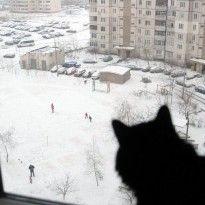 На Украину надвигается похолодание: появился свежий прогноз погоды