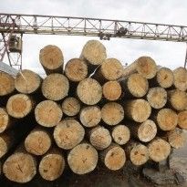 Ukraine sees exports grow almost 54% in Jan-Feb 2018