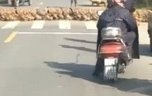 В Китае 20 тысяч уток устроили пробку: переходили дорогу организованным строем (видео)