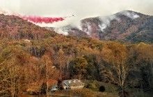 В Теннесси из-за дыма от лесных пожаров госпитализировали сотни человек