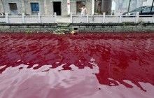 Китай досяг прогресу в боротьбі зі смогом, однак якість води в країні продовжує погіршуватися - звіт