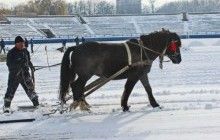 В Івано-Франківську для очищення стадіону від снігу перед матчем чемпіонату використали коней