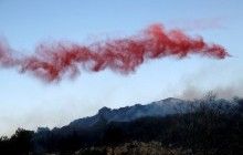 Разрушительные пожары в Израиле: ответственность взяла связанная с "Аль-Каидой" группировка - СМИ