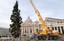 Різдвяну ялинку встановили на головній площі Ватикану