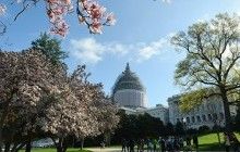 Музей Біблії у США намагається відтворити з допомогою нових технологій біблійні часи (рос.)