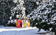 На центральній площі Харкова готуються до Нового року (фоторепортаж)