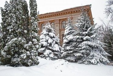 Зима у Києві потрапила у вісімку найтепліших з 19 століття (інфографіка)