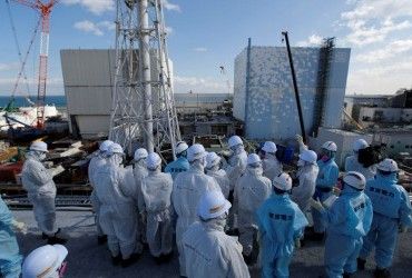 У смертельно радіоактивній воді під Фукусімою вирує життя: що виявили вчені