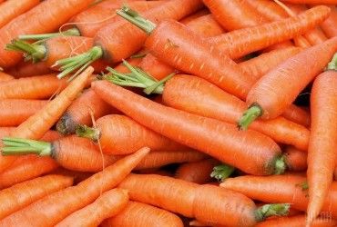 In Ukraine, carrots began to become cheaper: what is the cost of a vegetable now