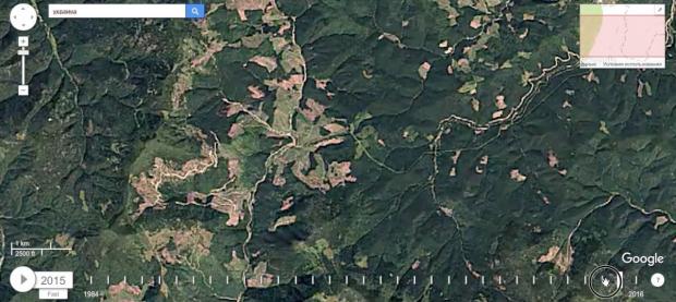 Satellite Imagery Reveal Disastrous Pace Of Deforestation In Carpathians Unian