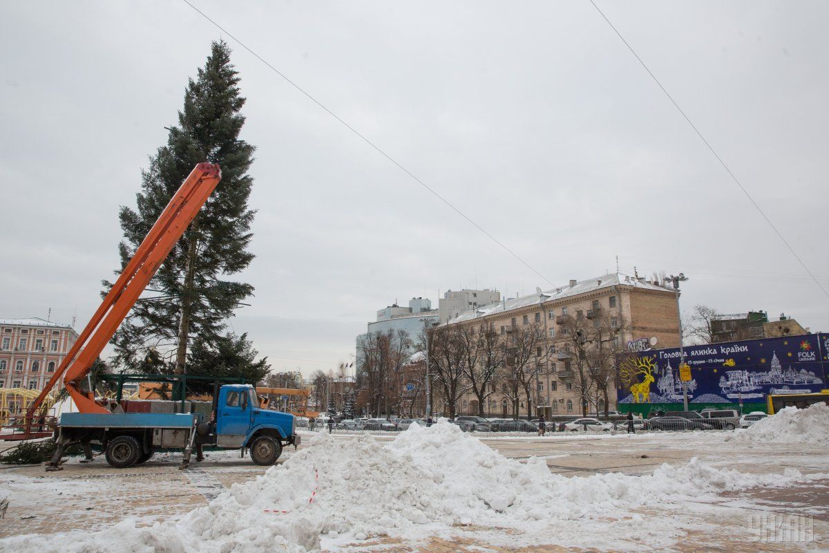 Головна ялинка уже стоїть на Софійській площі / Фото УНІАН Головна ялинка уже стоїть на Софійській площі / Фото УНІАН
