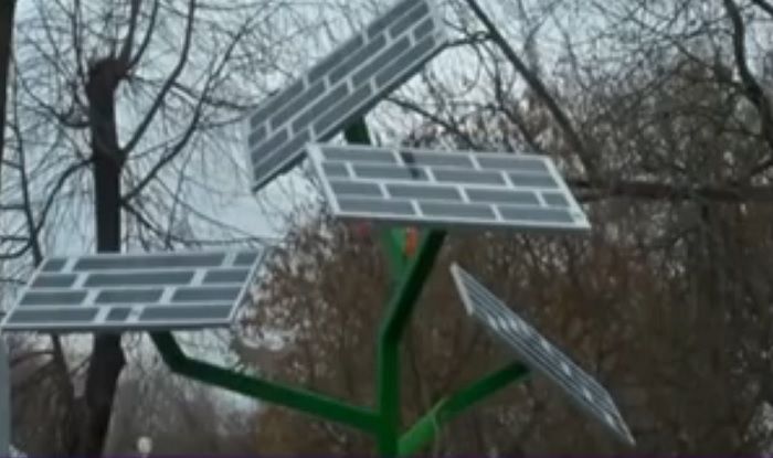 В Киевском зоопарке установили 'солнечное дерево' для подзарядки электронных устройств В Киевском зоопарке установили 'солнечное дерево' для подзарядки электронных устройств