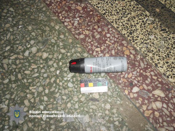 На Рівненщині відбулася масова п'яна бійка / Нацполіція На Рівненщині відбулася масова п'яна бійка / Нацполіція