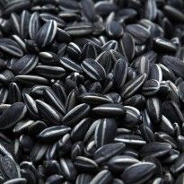 Ukraine sees oilseeds exports shrink by 5% in H1