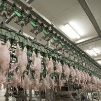 Ukraine to supply poultry to Japan